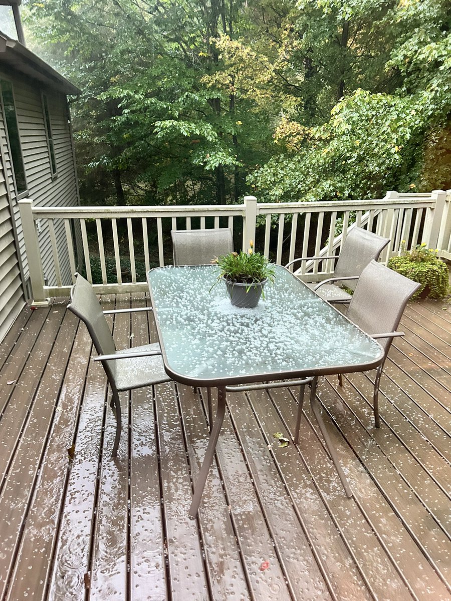 Chasing With Jenna tweet media