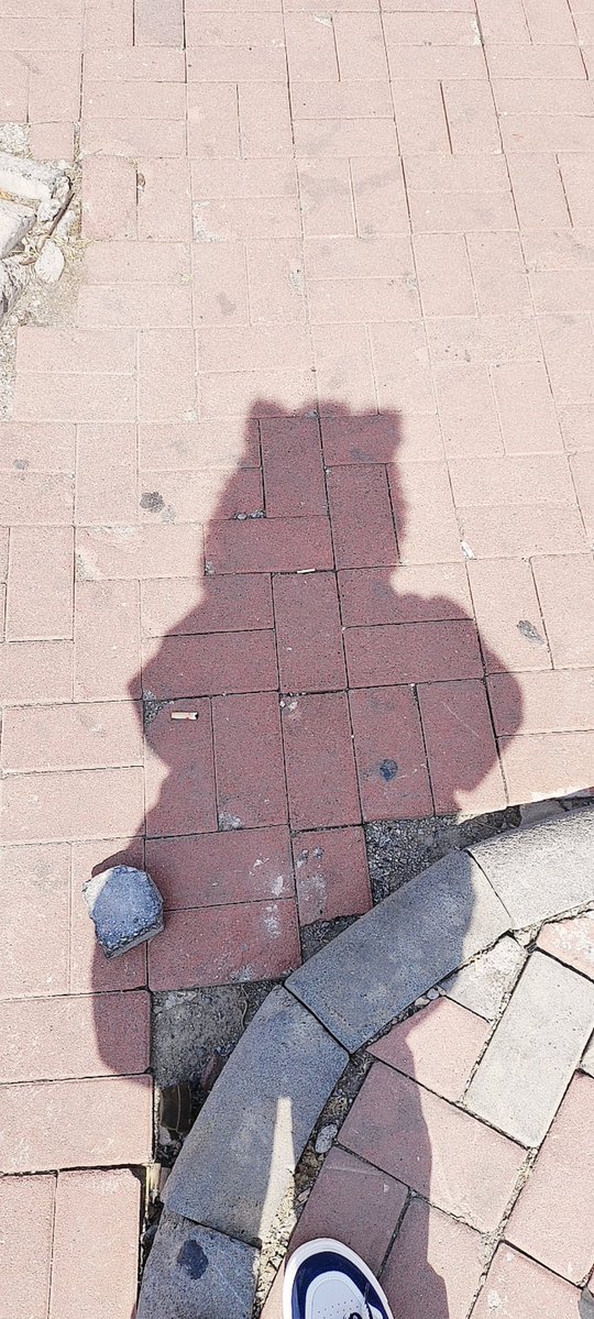 沐安ねこ tweet media