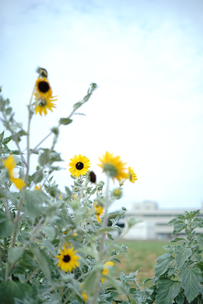 水没@バイクで日本２周目 完 tweet media