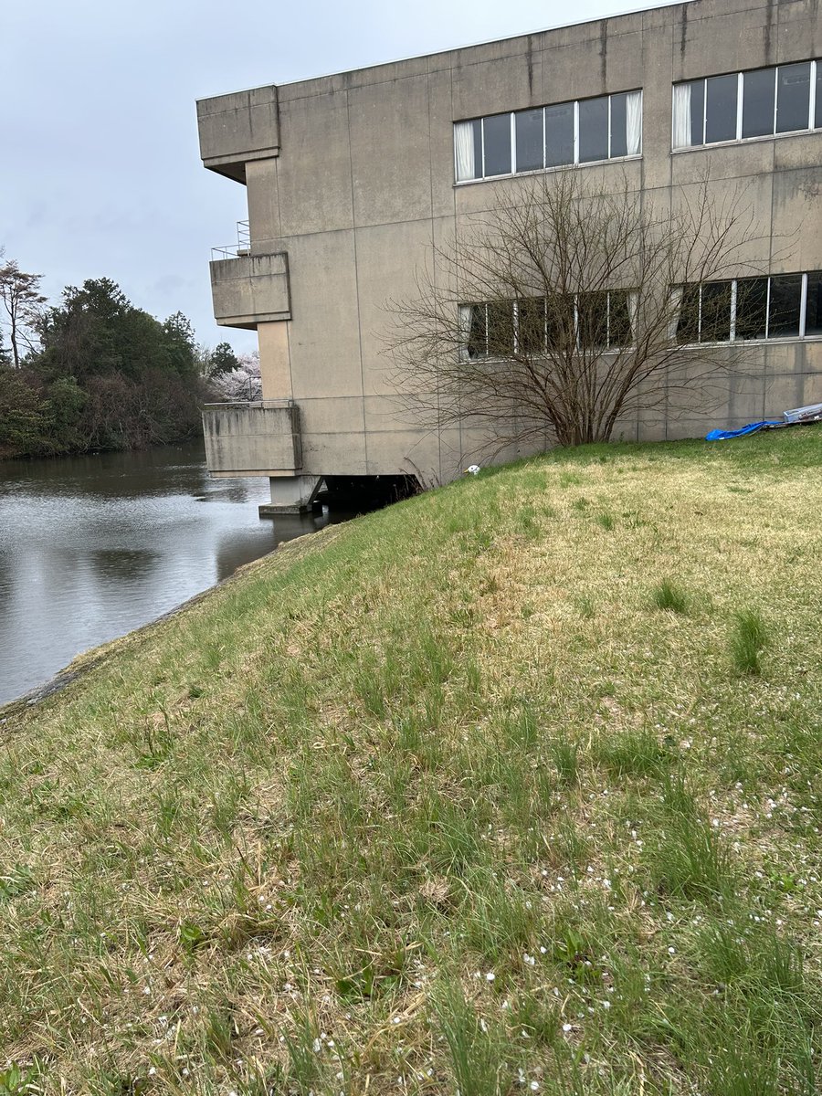 もっちー tweet media