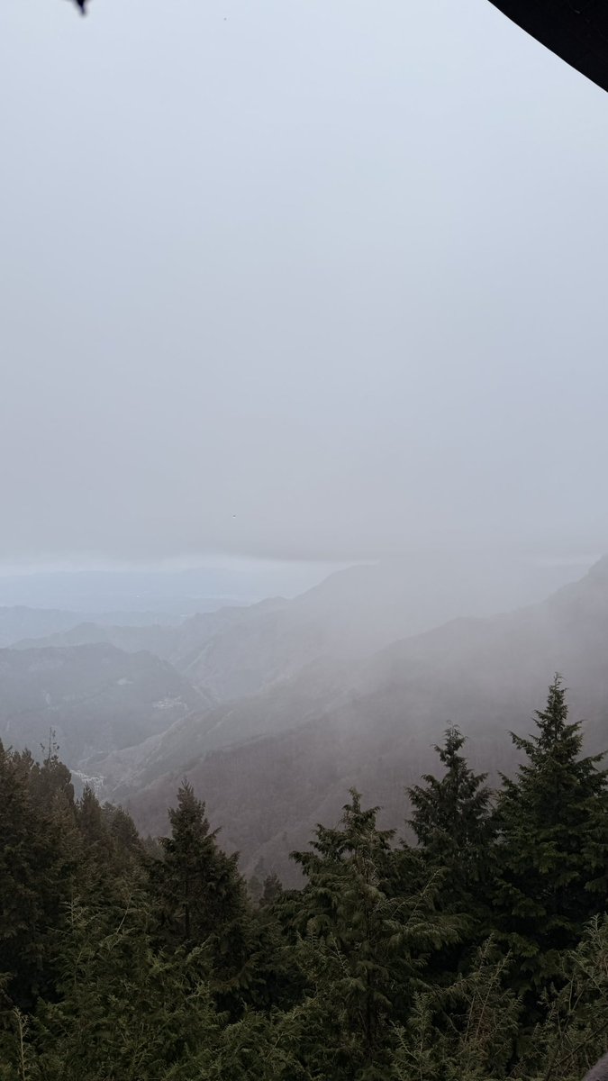 おきゃ tweet media