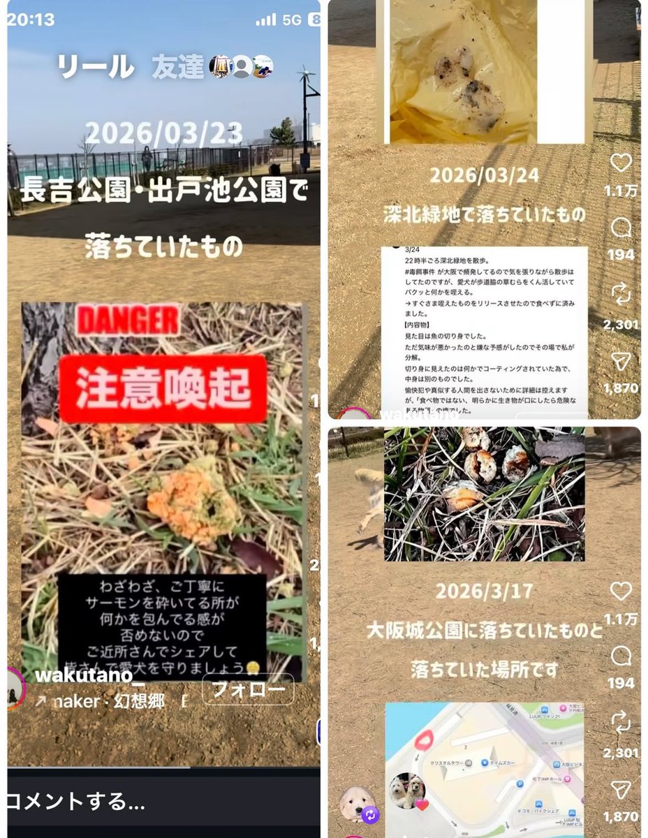 Noah Oda - 小田乃愛 tweet media