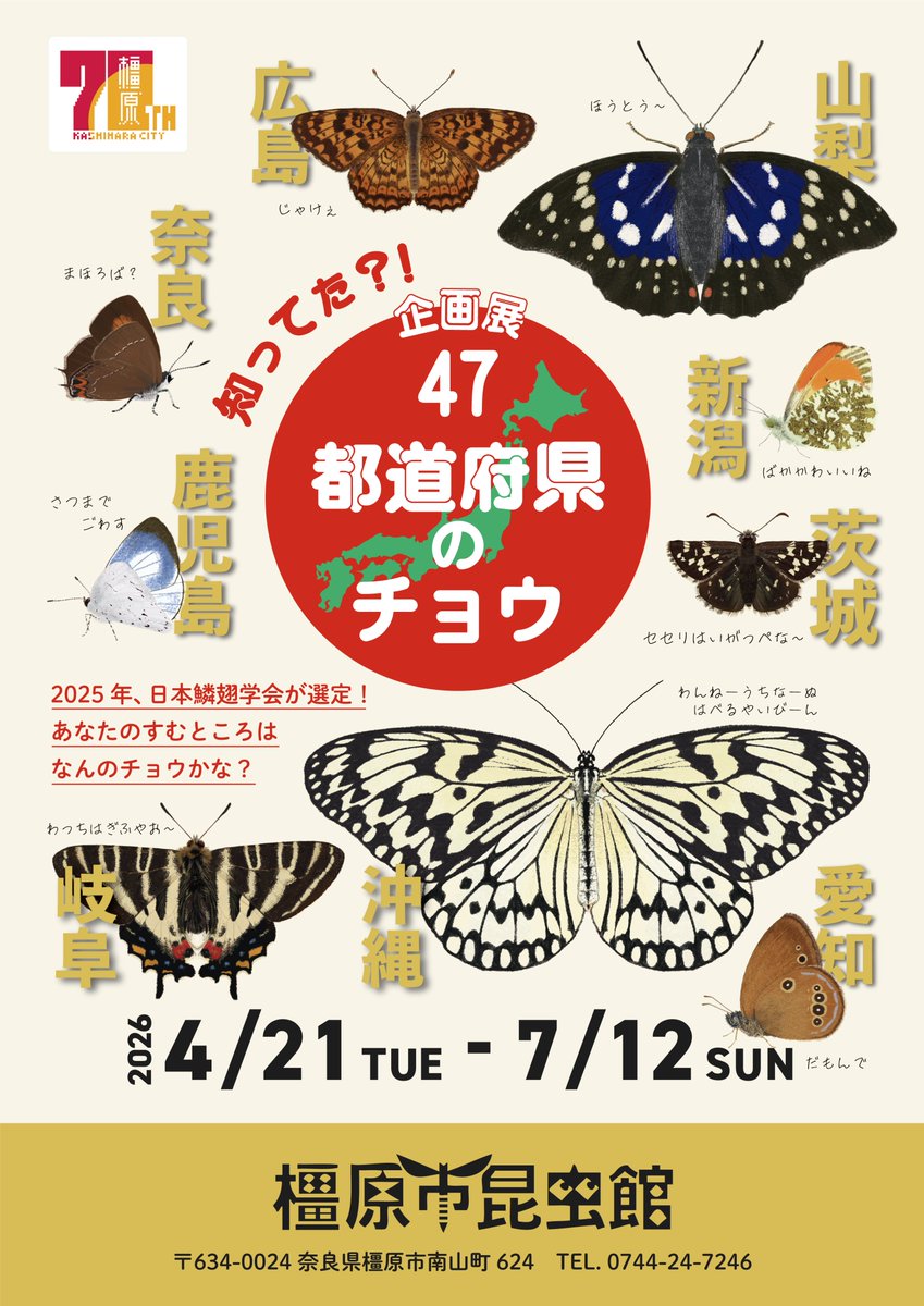 橿原市昆虫館（公式） tweet media