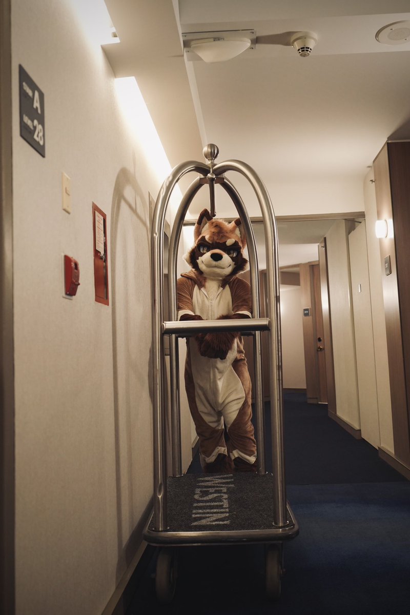 Chung 腸粉🔜🇺🇸Furlingame tweet media