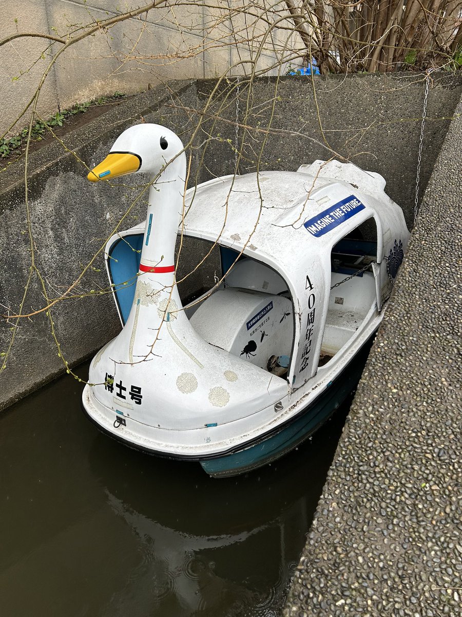 もっちー tweet media