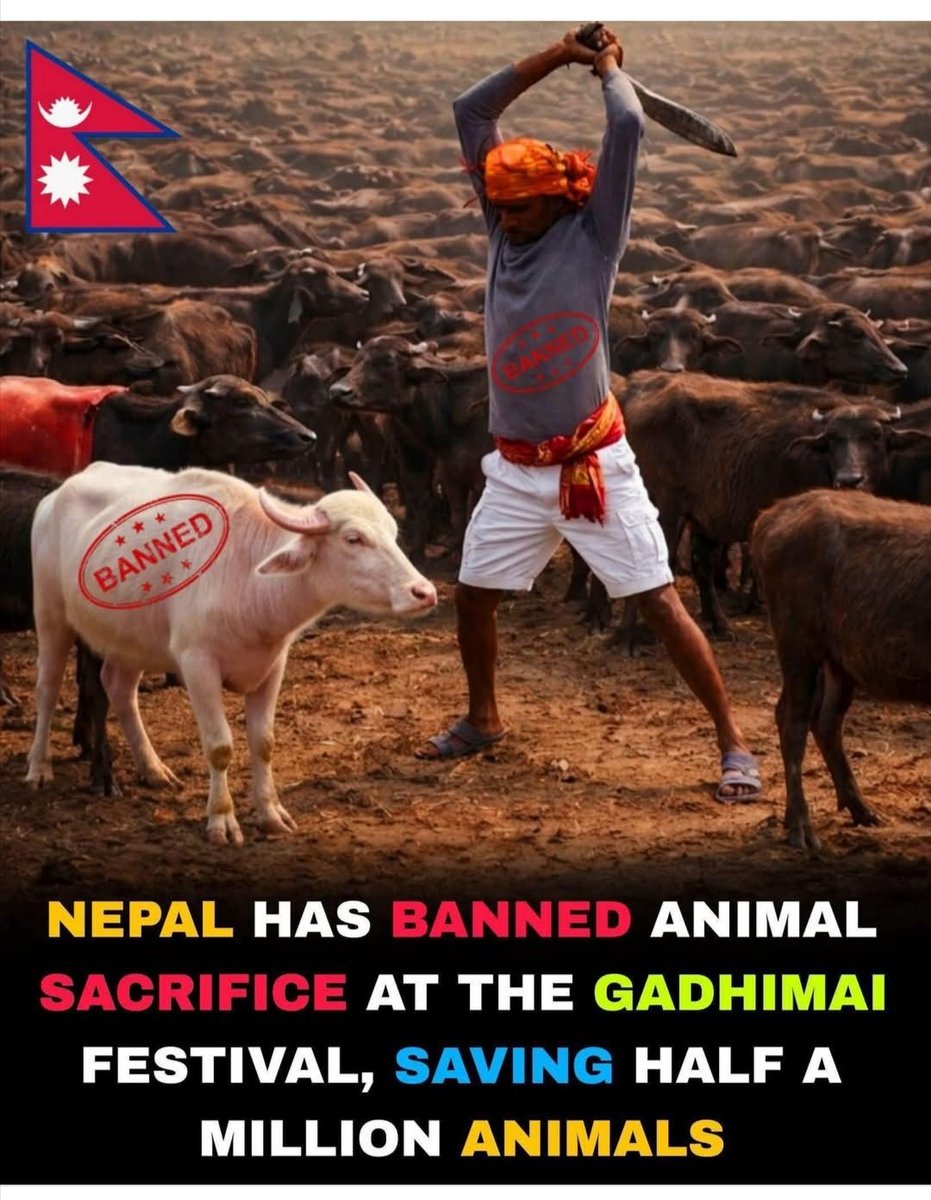 Sadiksha Karki tweet media