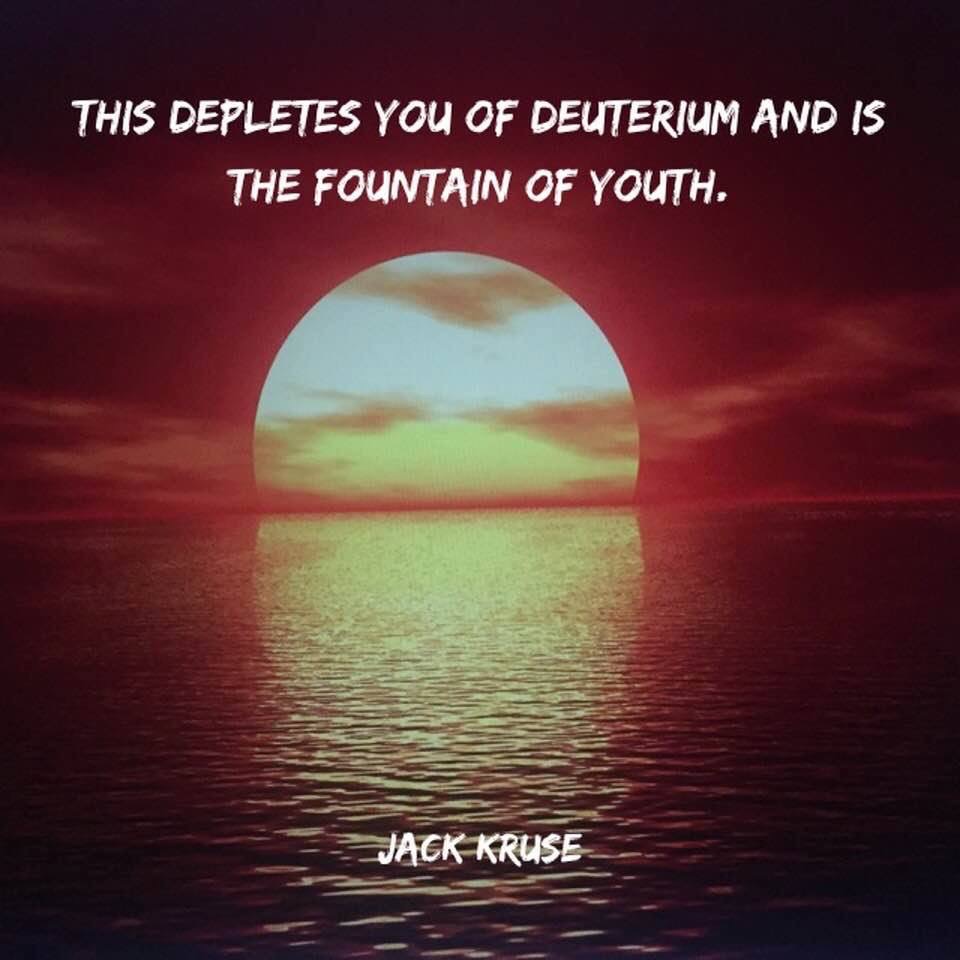 ☣️ Pleb Kruse = BTC foundationalist in exile 🟩🔆 tweet media