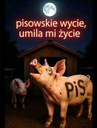 Titorrr Titorrr tweet media