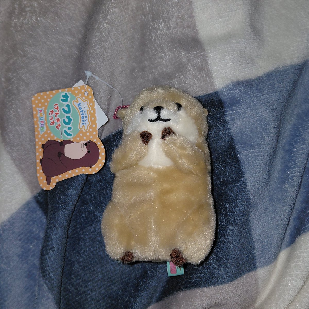 svcroze's tweet photo. WTS want to sell

Amuse Amufun doll keychain otter kuttari

💸 65k open nego
🍞 ori
📍rd ina | jateng
🍊 available https://t.co/GhytP7qRxu