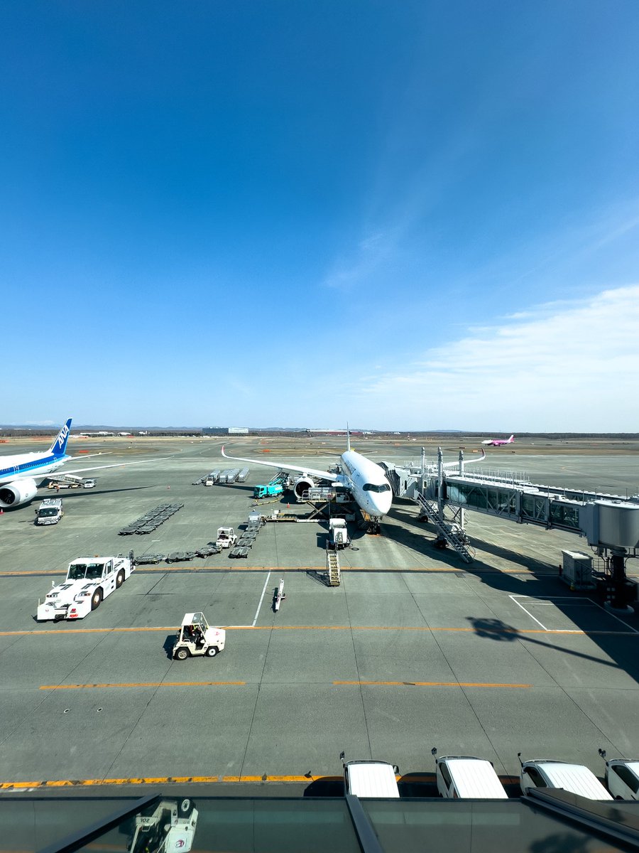 いまいごう@スズメ写真家 tweet media