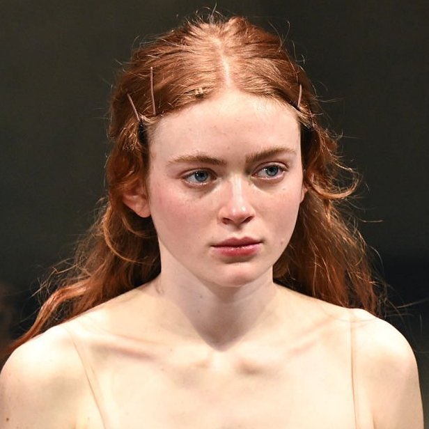 Sadie Sink Updates tweet media