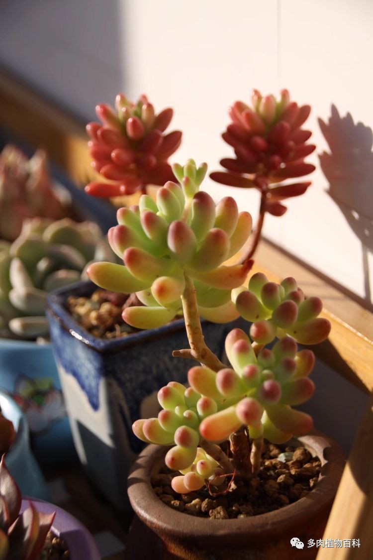 JohnnyOnTaime tweet media