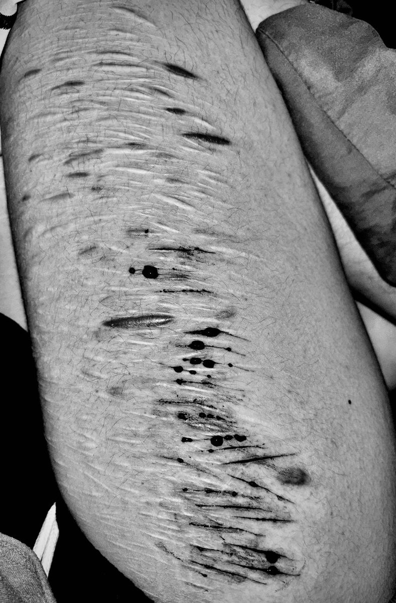 astra ‧₊˚✩彡 tweet media