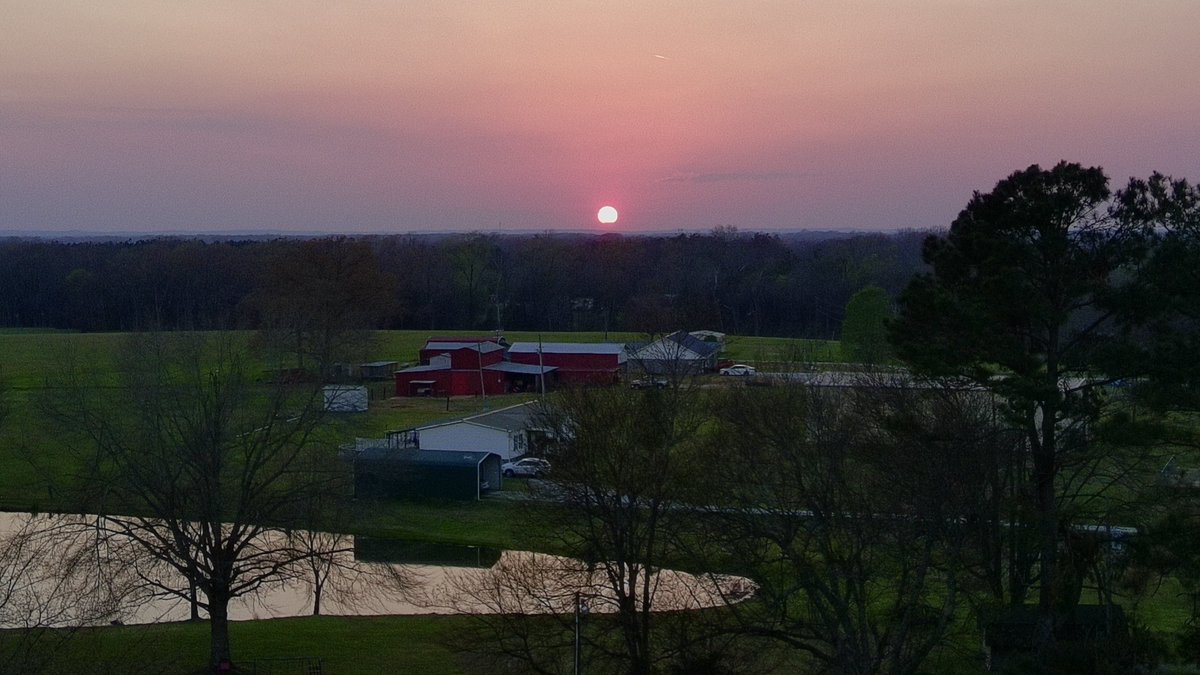 Cat with guns tweet media