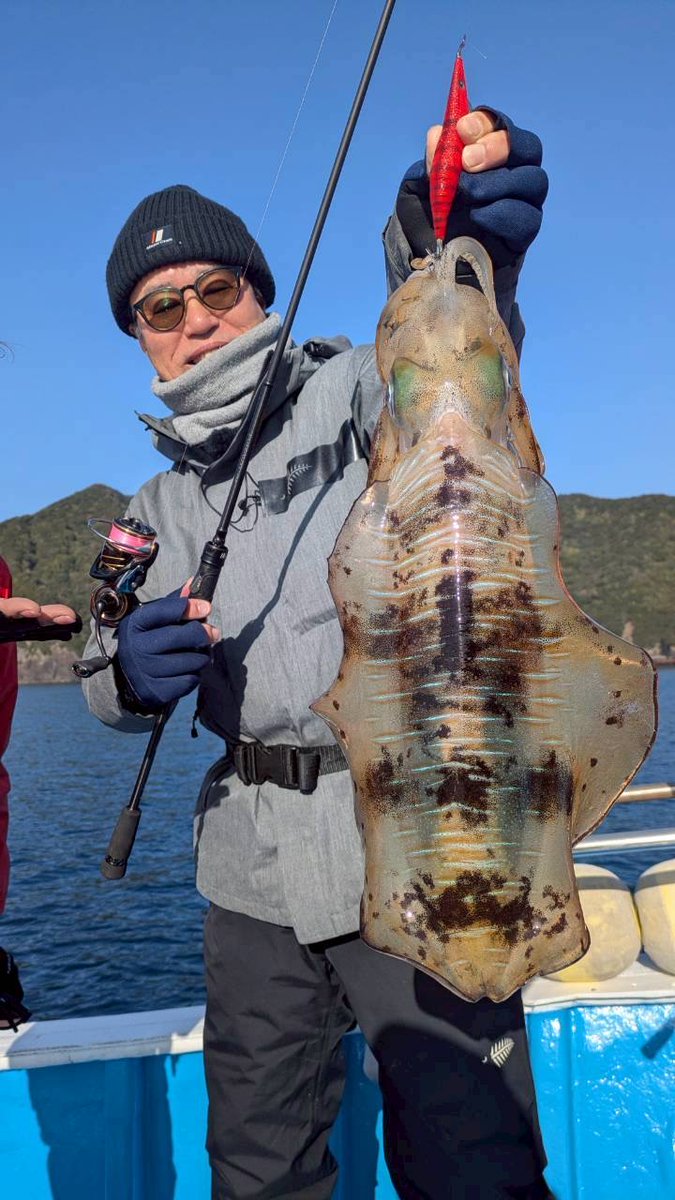 ルアルアチャンネル tweet media