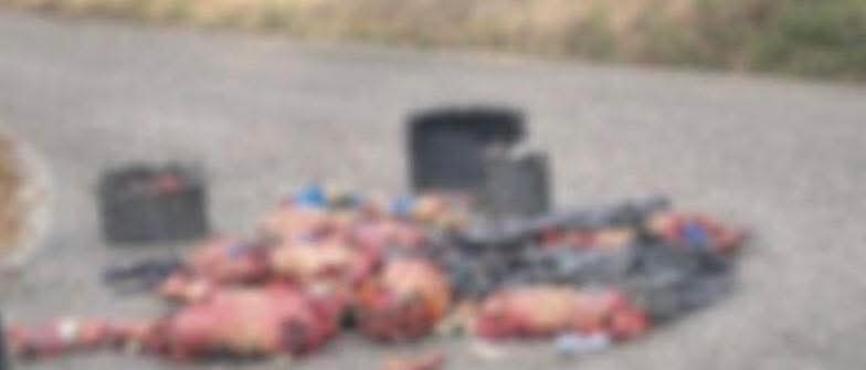 ᴄʀɪᴍᴇ sᴜʙᴄᴜʟᴛᴜʀᴇs tweet media