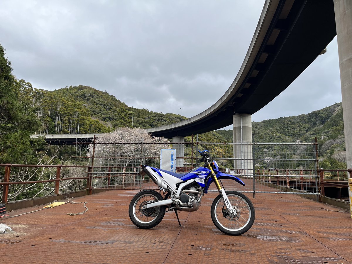 ライ・ヨッパ tweet media