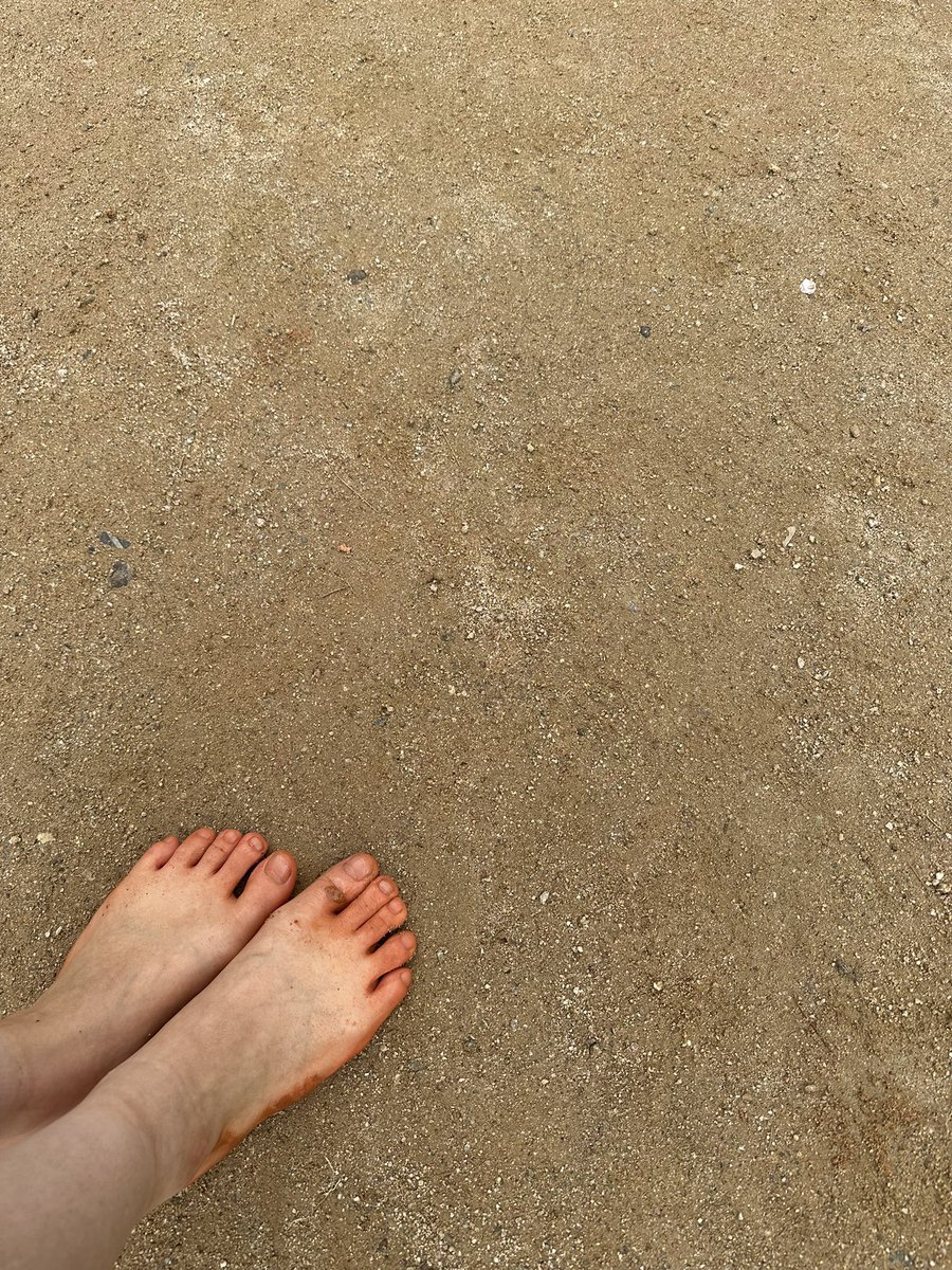 무섹❤️무취 tweet media