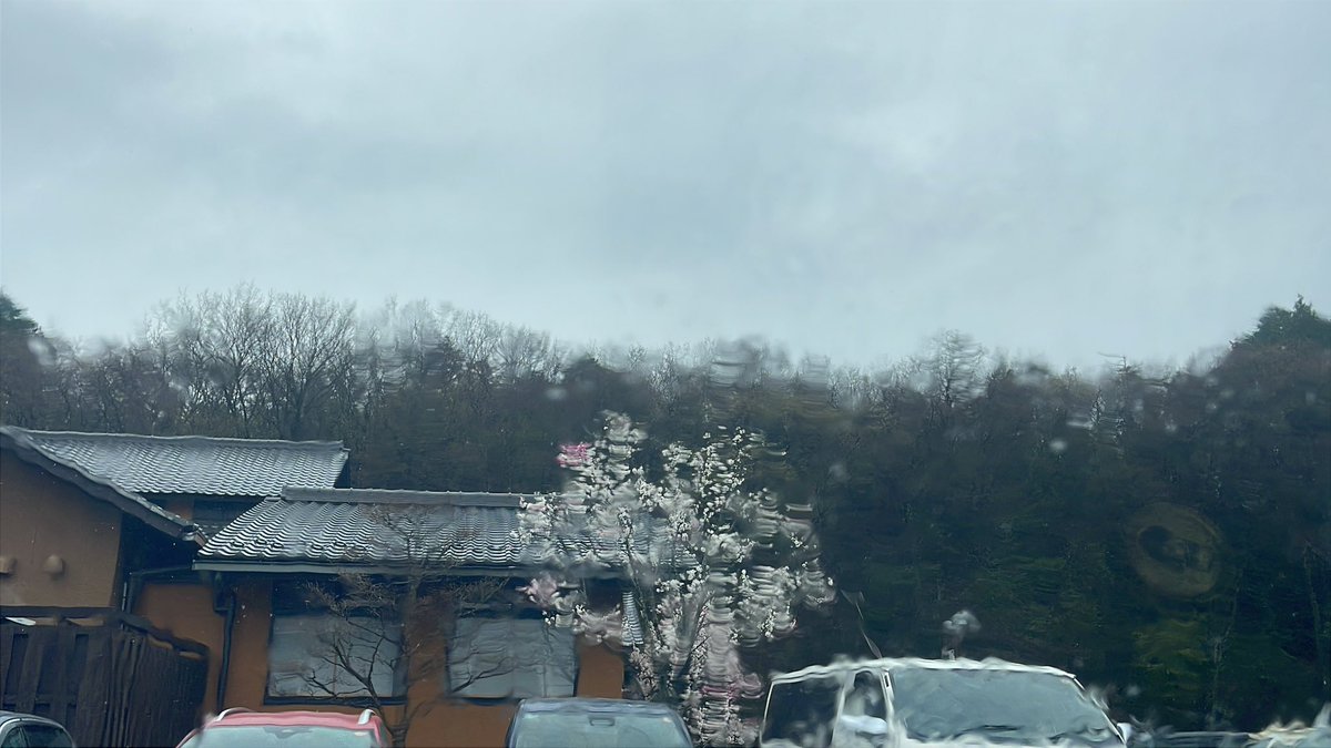 @きらTV tweet media