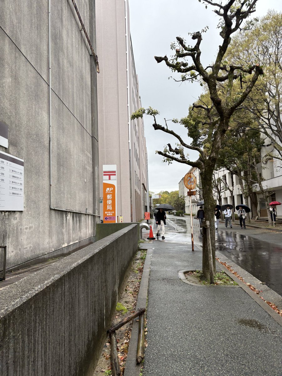 シャルル🌠 tweet media