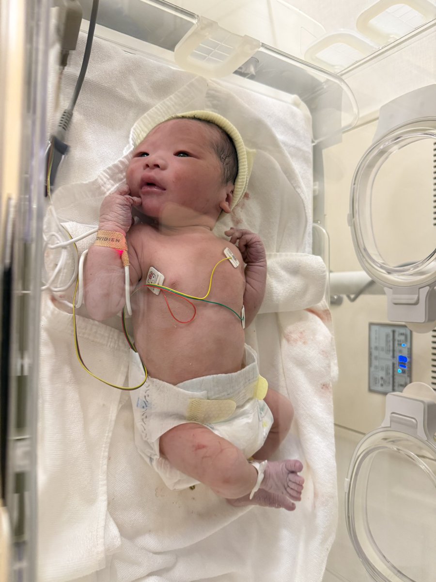 ひかるパパになり家が建ちお金無い tweet media