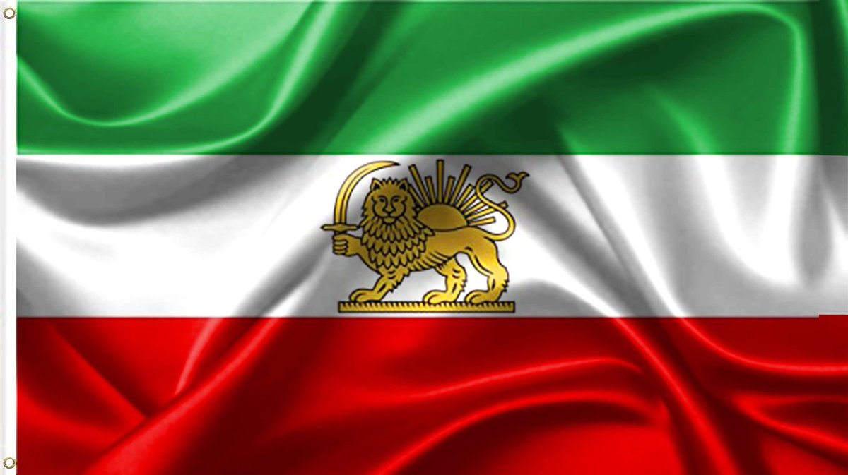 niloufar tweet media