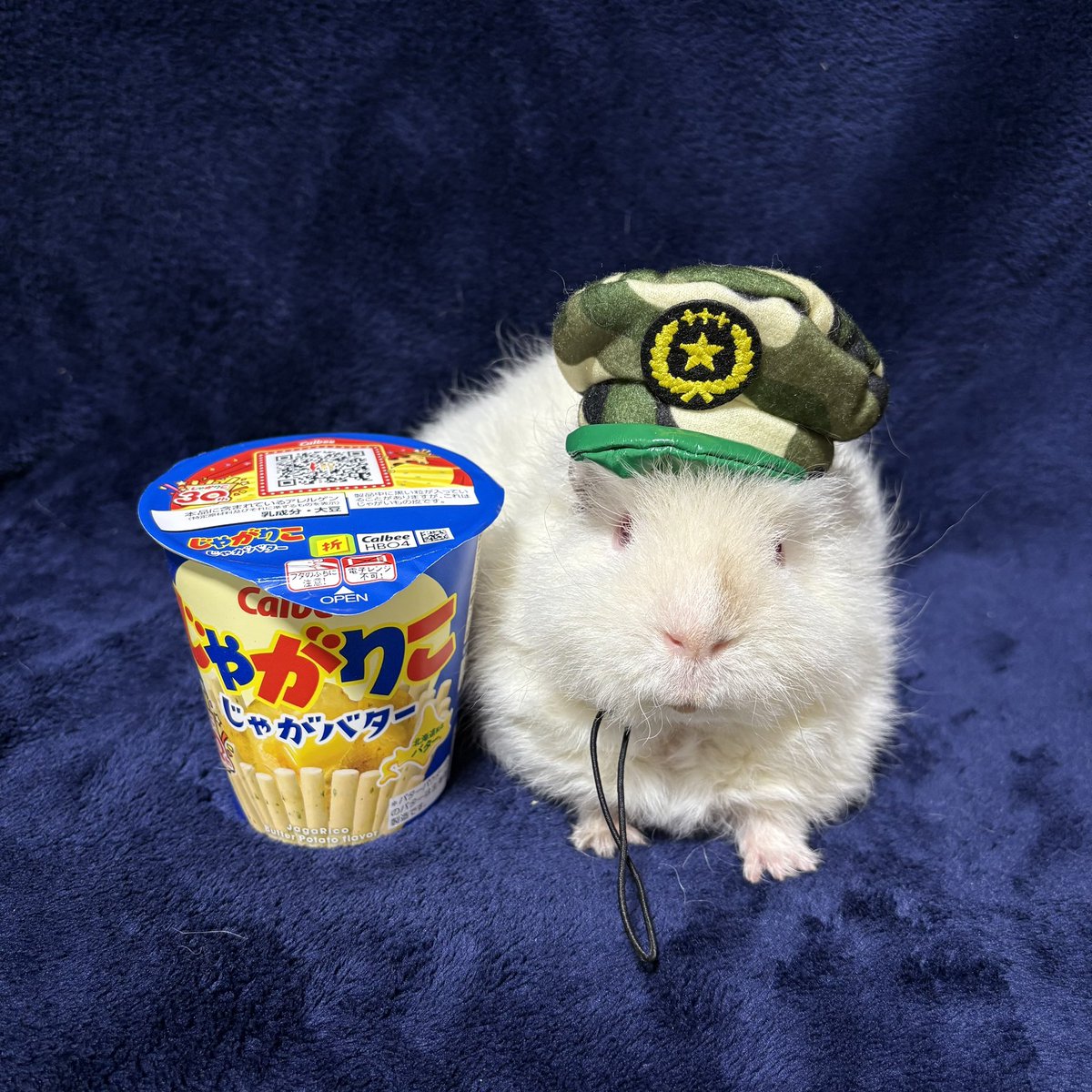 みゅうこ tweet media