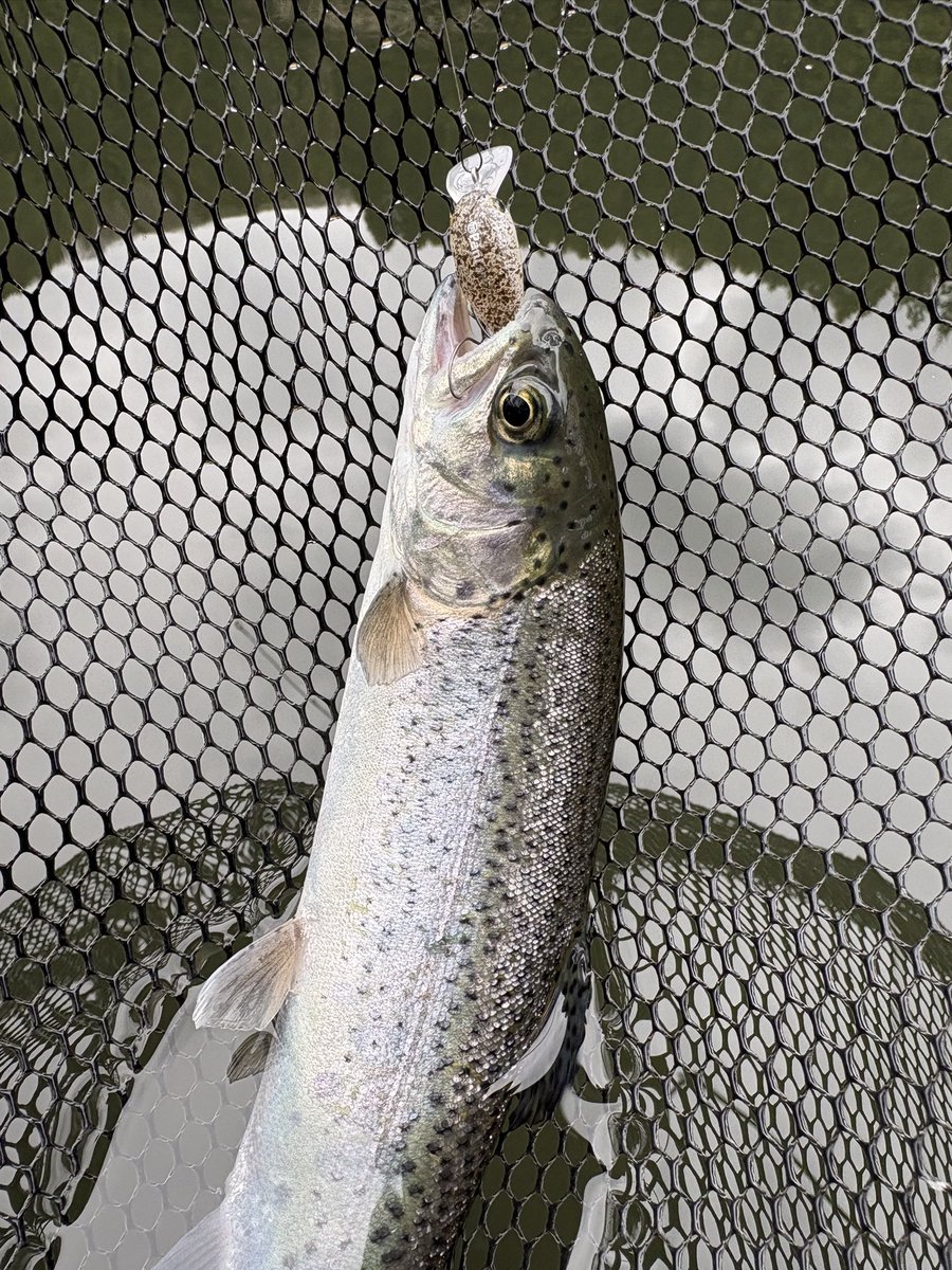 ama_taka（あまたか） tweet media