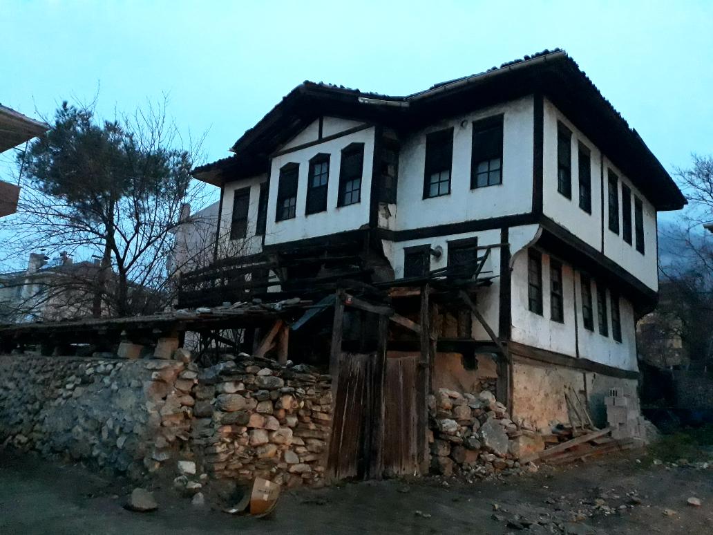 Mavi🌍 tweet media