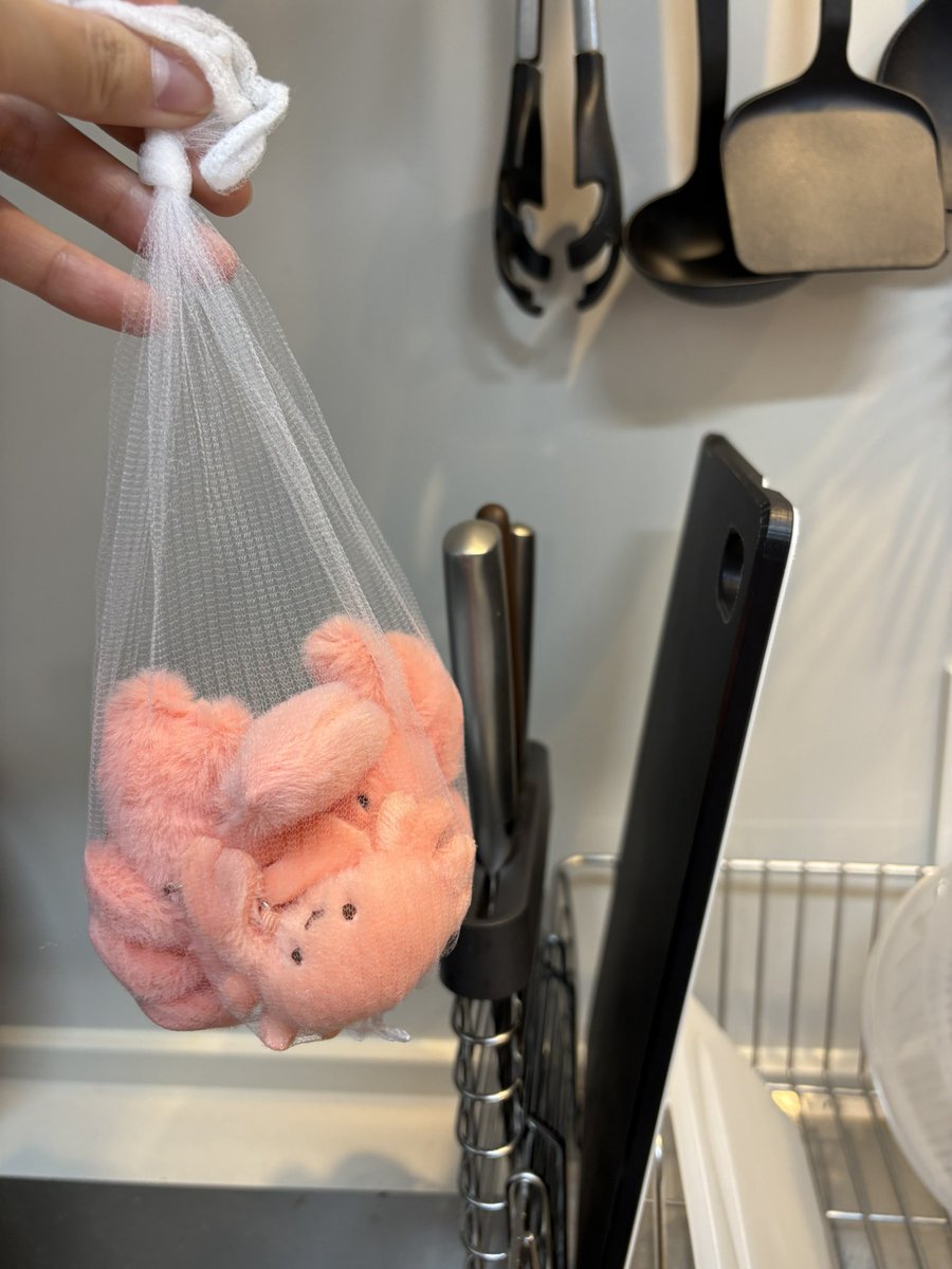 きりりん🦀💫 tweet media