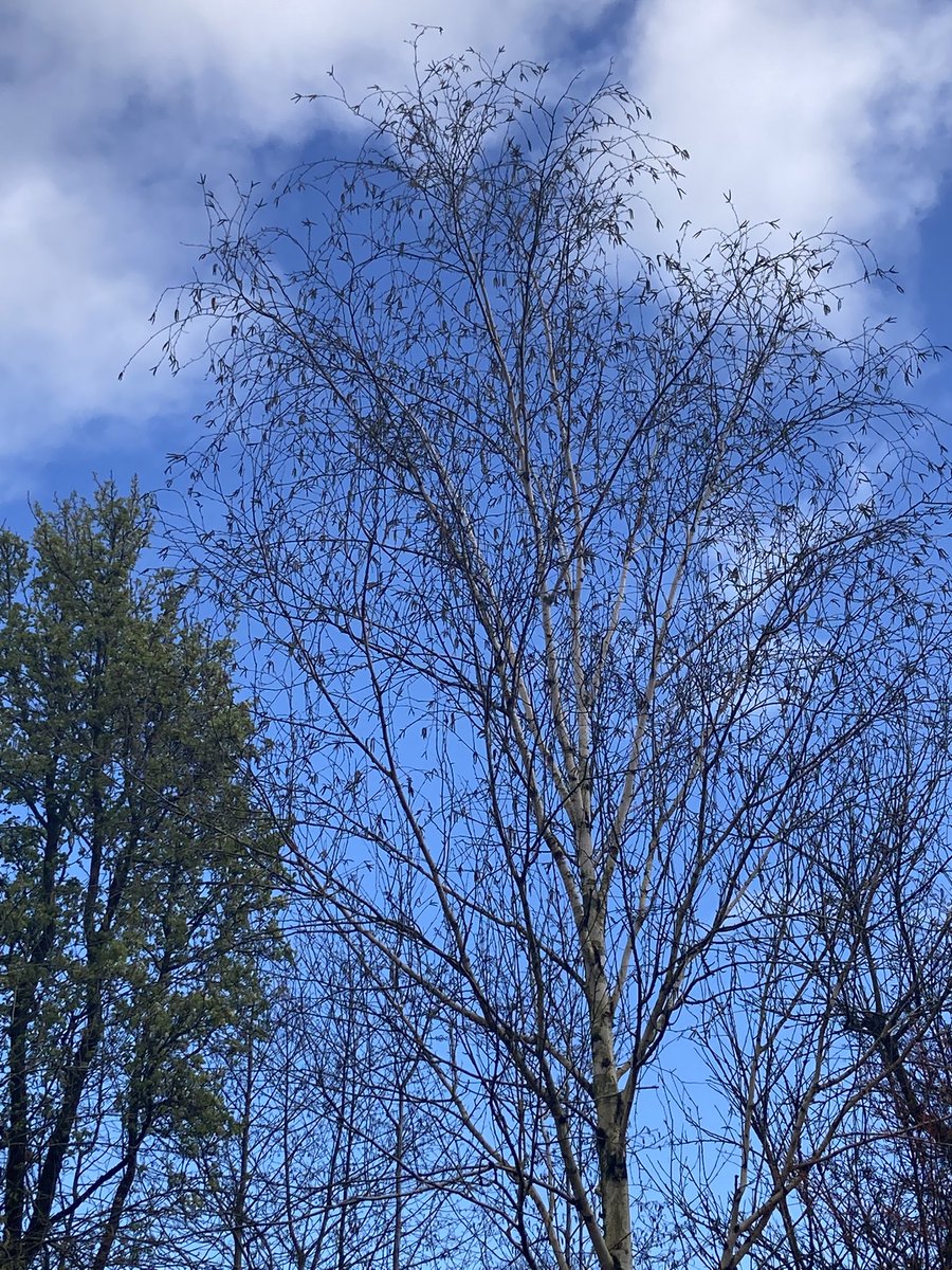 fran ca del tweet media