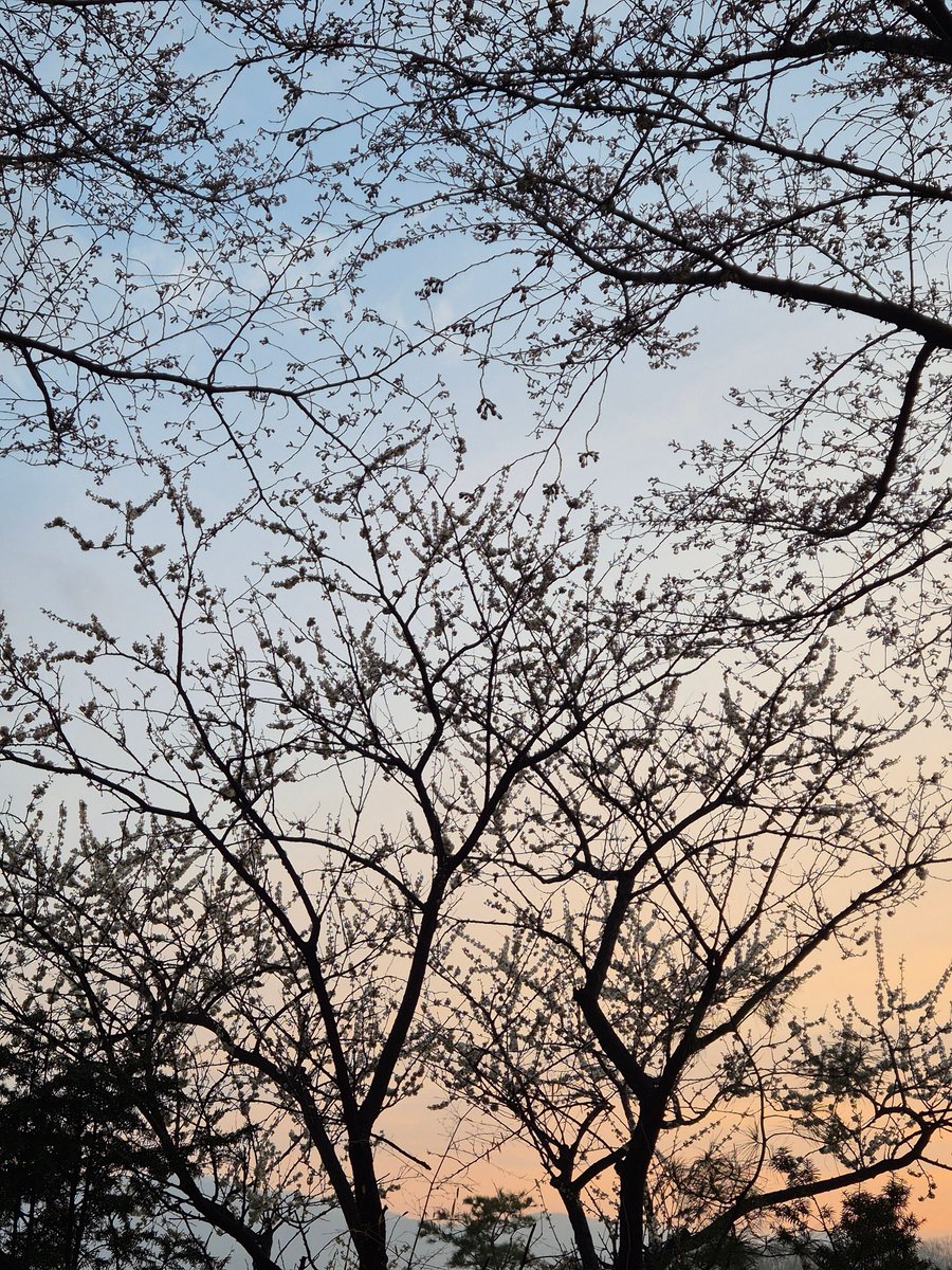 추니추니 입춘이🎗 tweet media