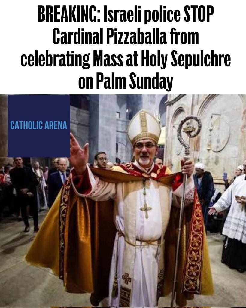 Nosbortep tweet media