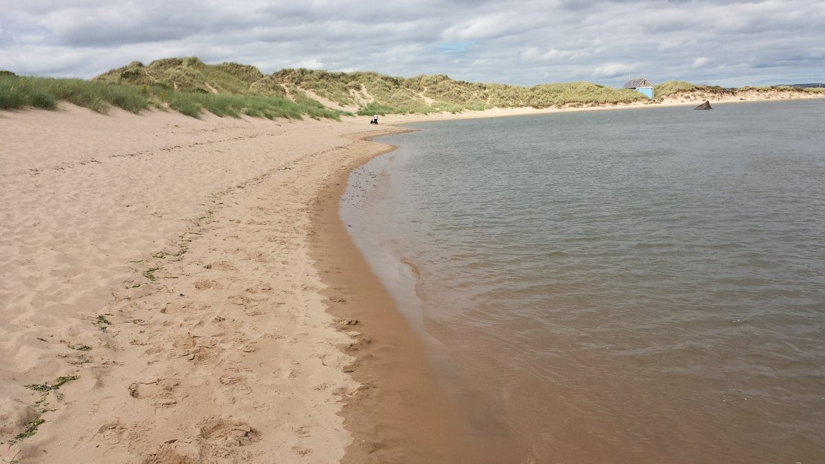 manonabeach tweet media