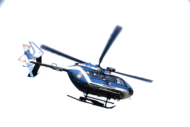 Nathan Mitchell tweet media