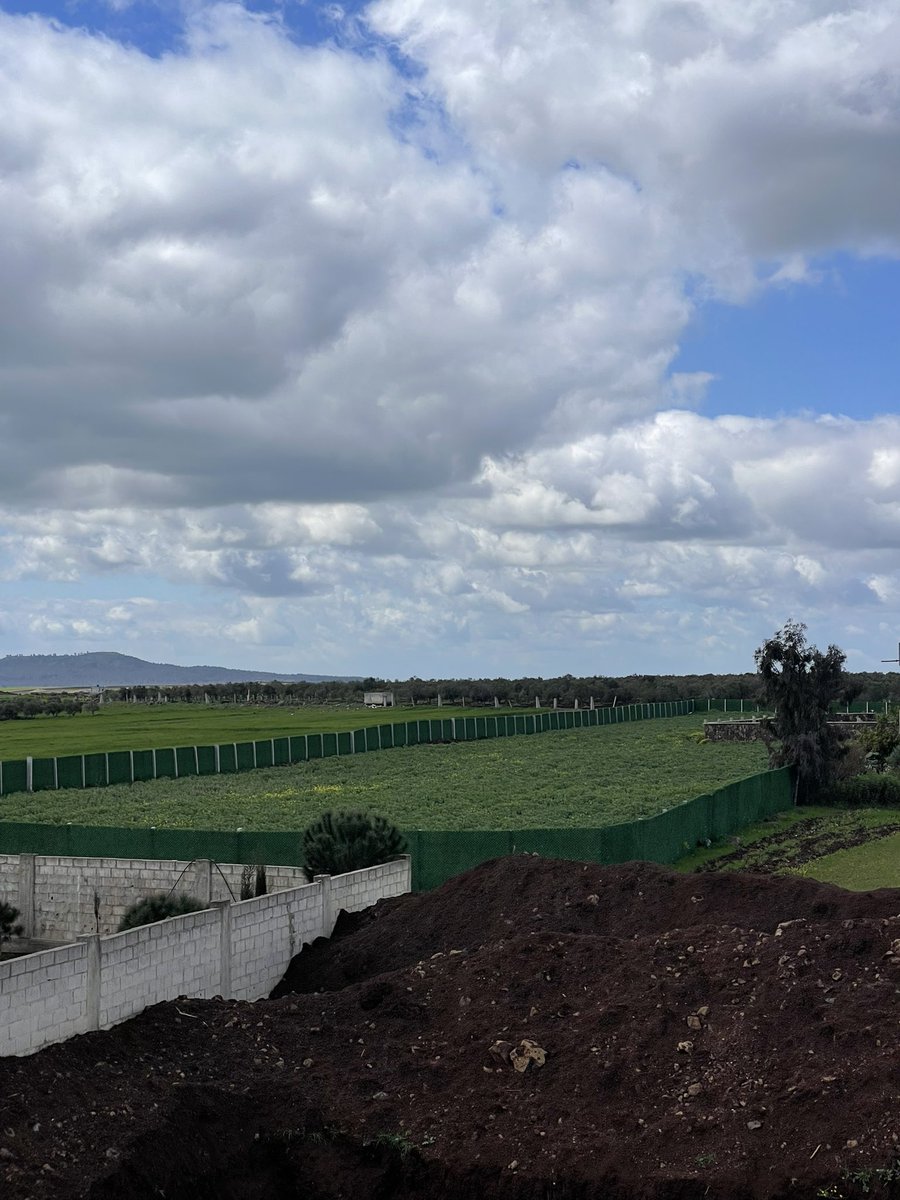 الماغيرو 🇸🇾 tweet media