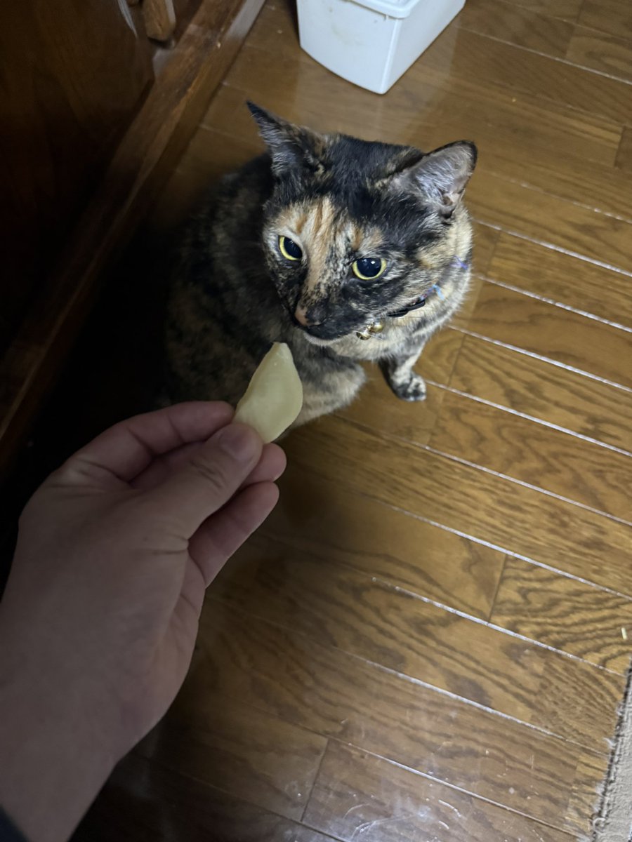 ゴンデミ＠400X初心者 tweet media