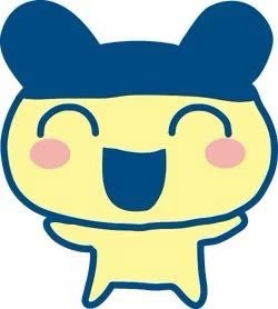 송메치 아카이브 tweet media