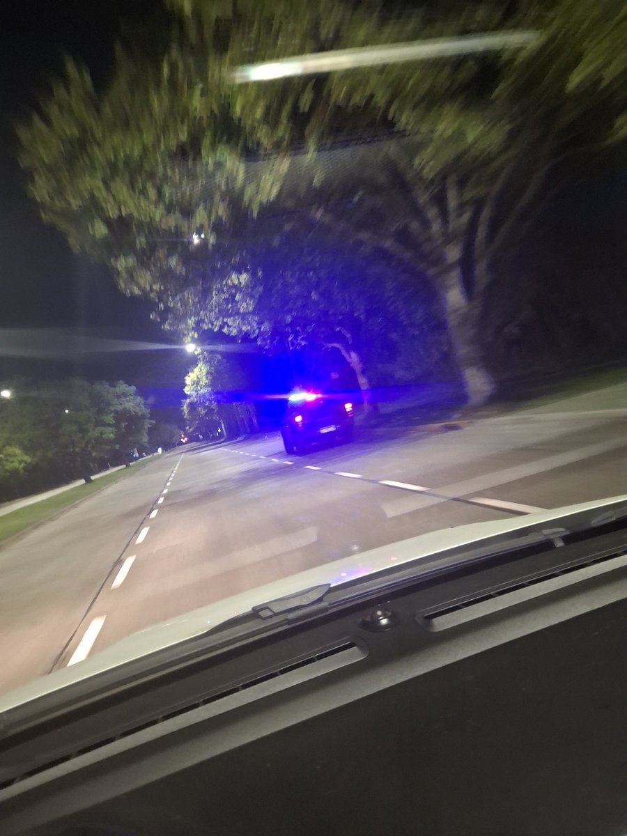 peteraculona tweet media