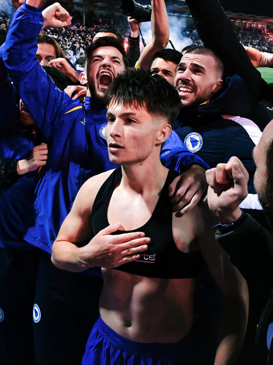 Emir Suljagić tweet media