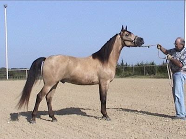 Eva Close tweet media