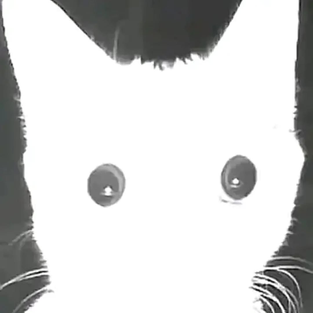 VanZ | GTA VI tweet media