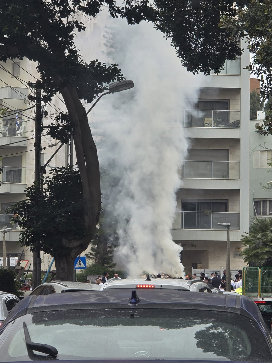 Mayan Rodeh tweet media