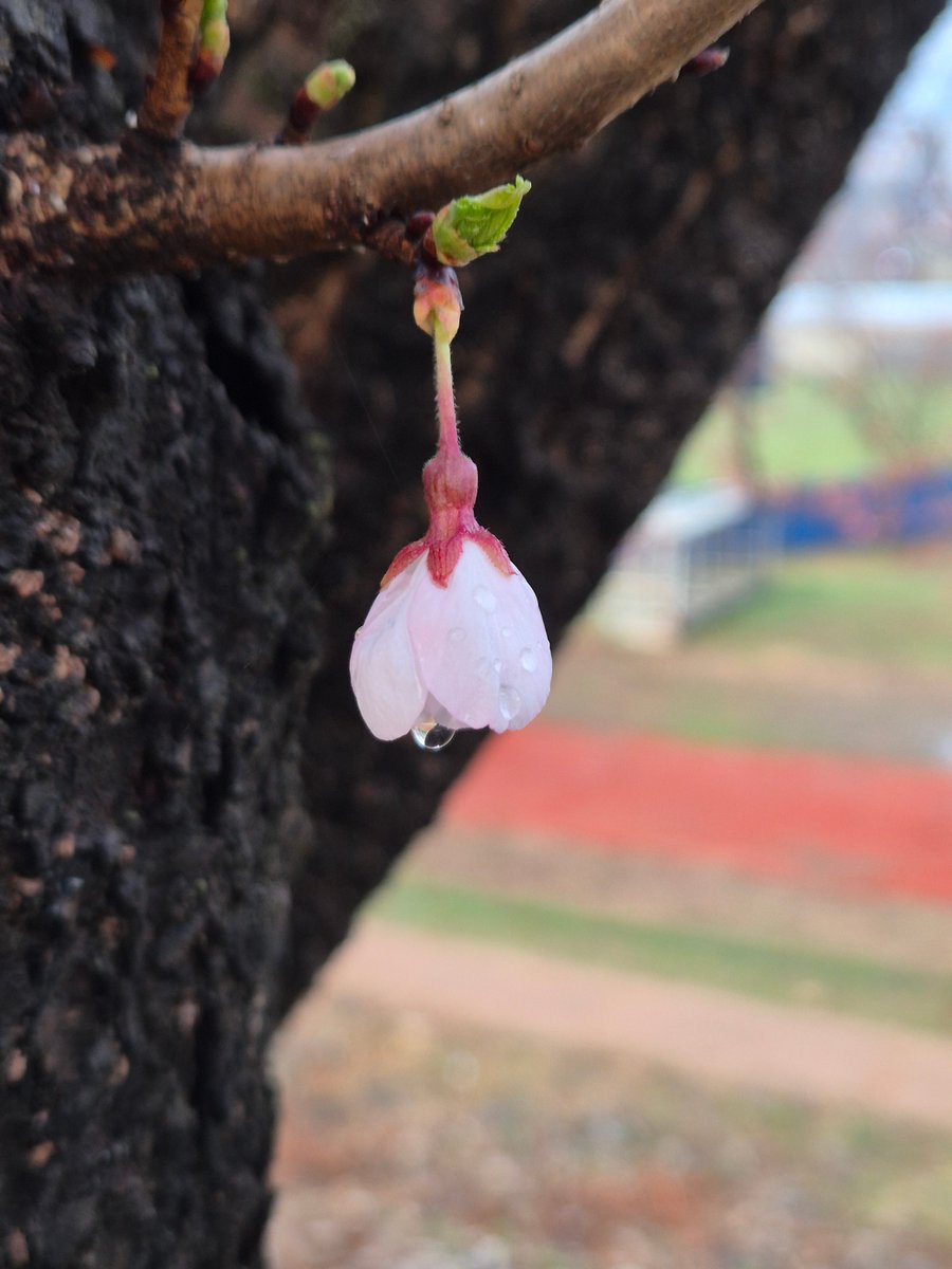 추니추니 입춘이🎗 tweet media