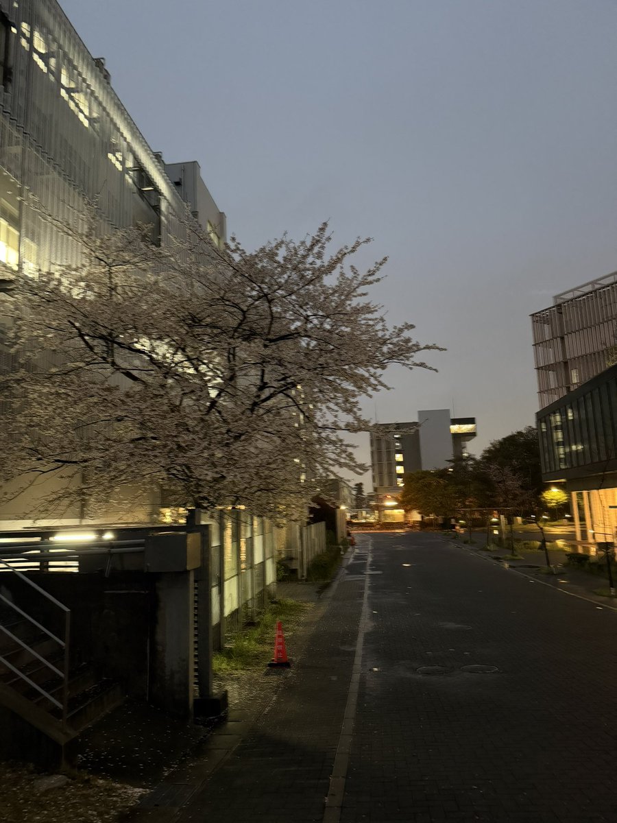 マントルくん tweet media