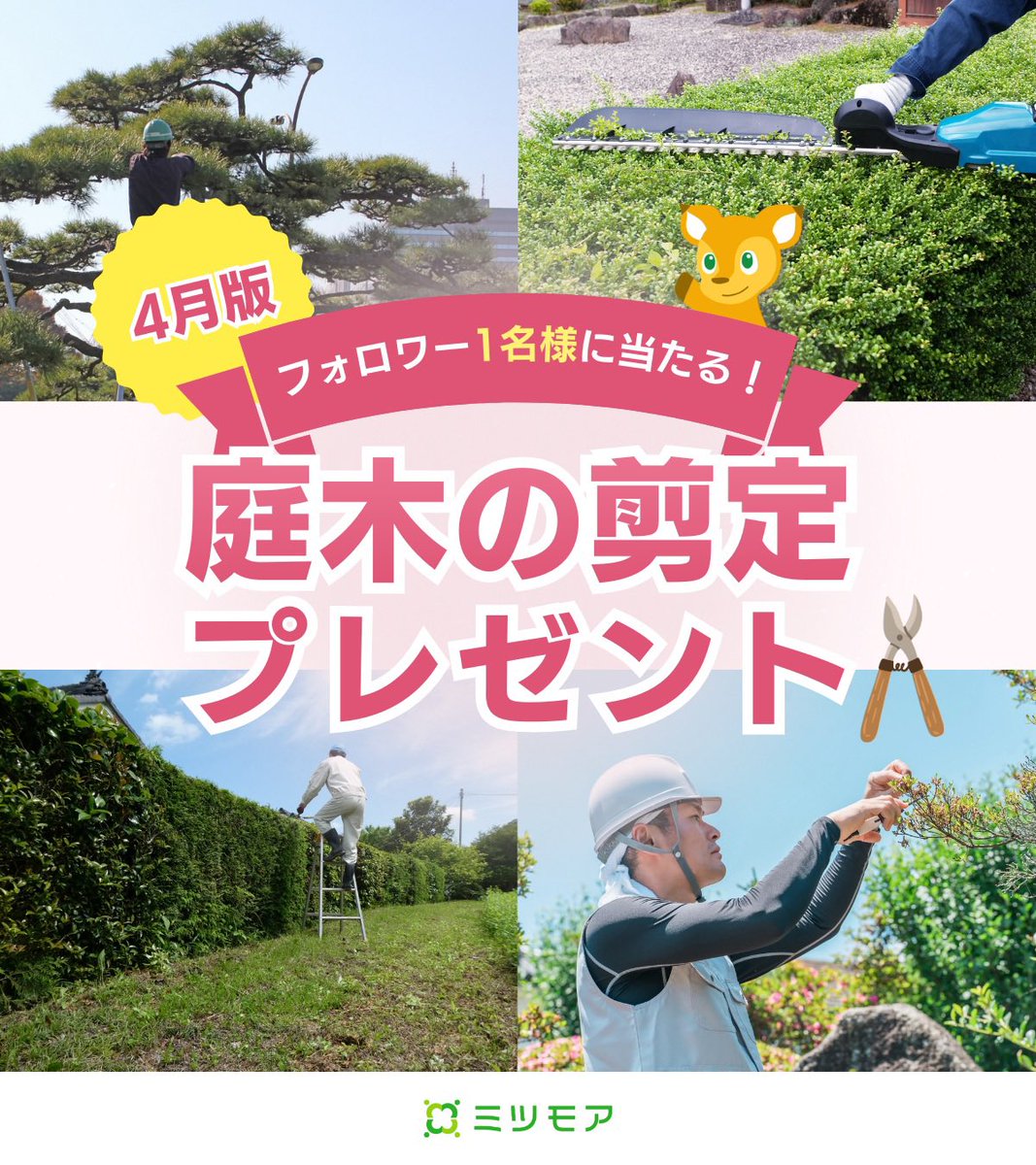 ミツモア|ハウスクリーニング・暮らしのプロ tweet media