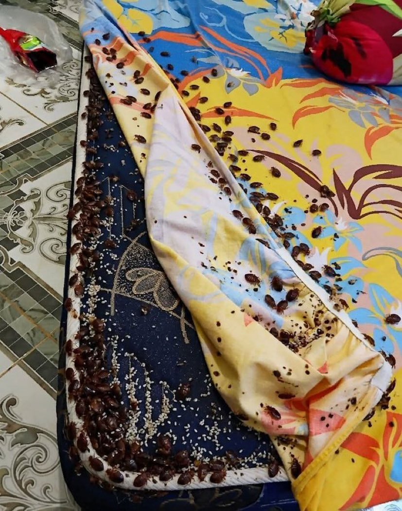 Air Galon Premium tweet media