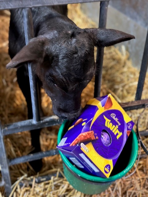 KW Feeds tweet media