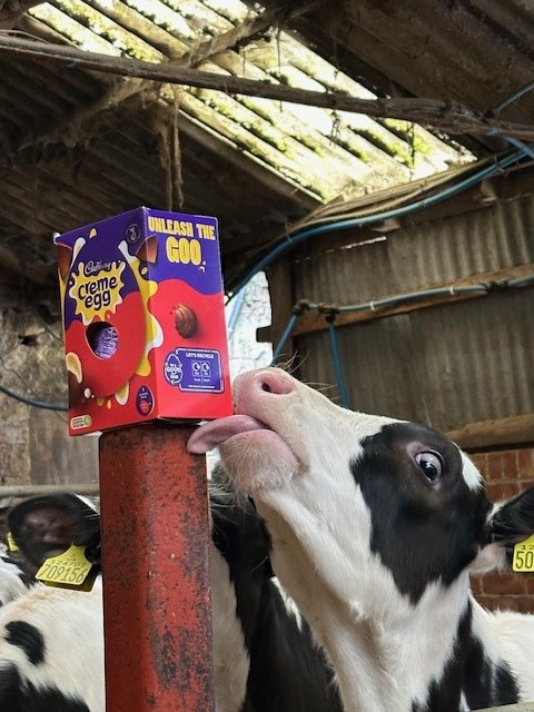 KW Feeds tweet media