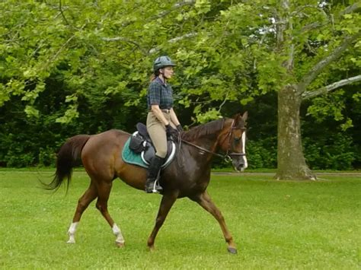 Eva Close tweet media